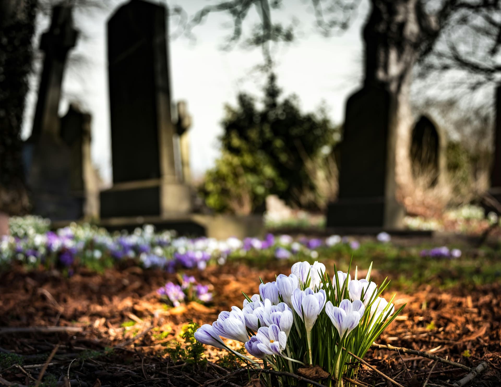 The Top Causes of Wrongful Death: Understanding Your Rights and Seeking Justice