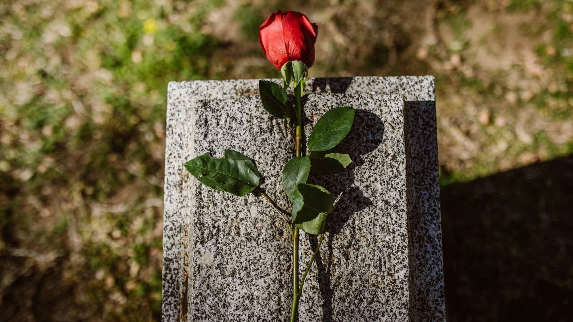 A rose on the gravestone of someone who passed away in a wrongful death case in Geo City, Geo State